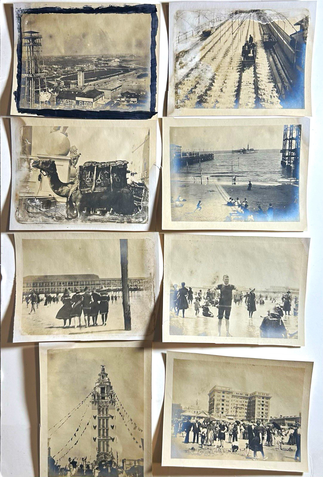 8 Antique Coney Island Photos c1905 Galveston Flood Dreamland Brooklyn NY