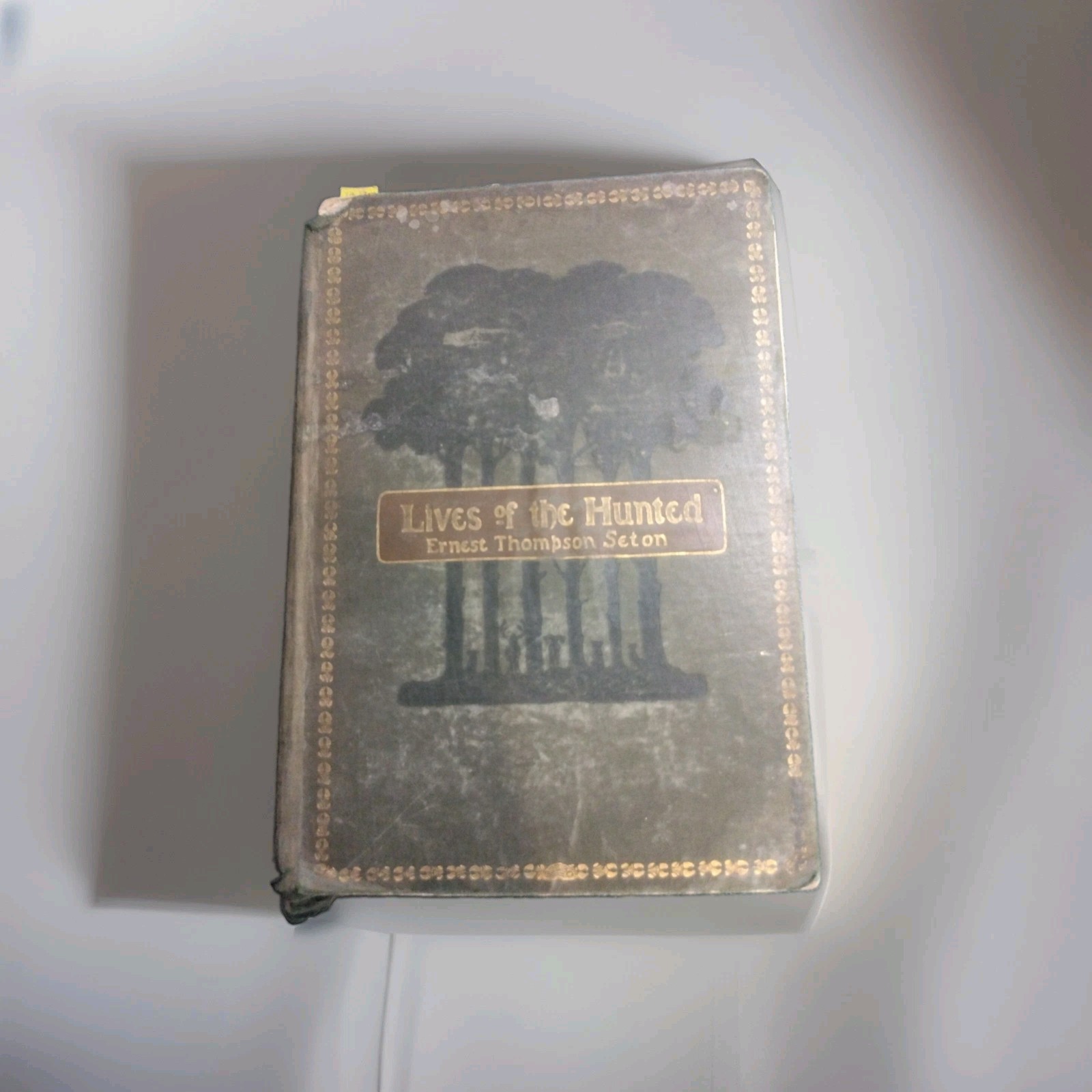 Antique 1901 Lives of the Hunted Ernest Seton-Thompson Illustrated HC Book