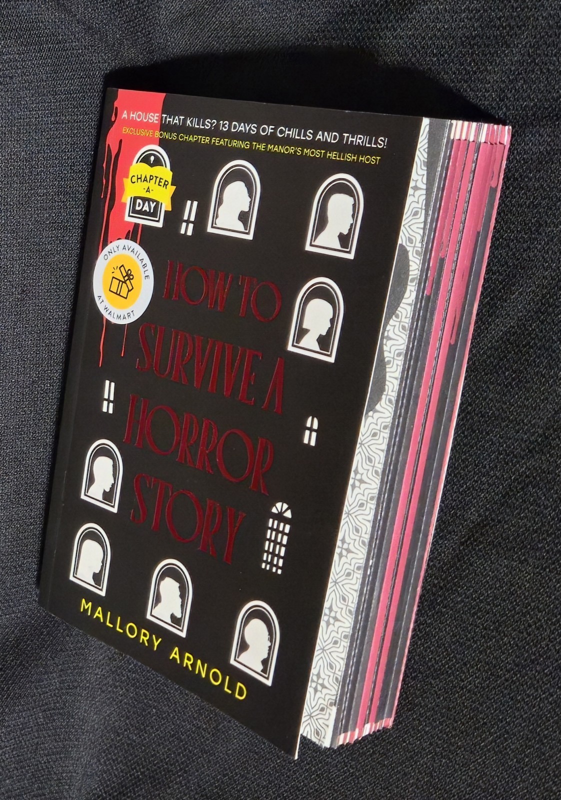 NEW Chapter A Day Mallory Arnold How to Survive a Horror Story Walmart Exclusive