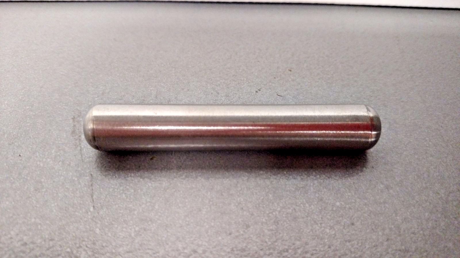 Cow Magnets Box of 12 Hardware Cattle 3 Inch by 1/2 inch Stainless Steel