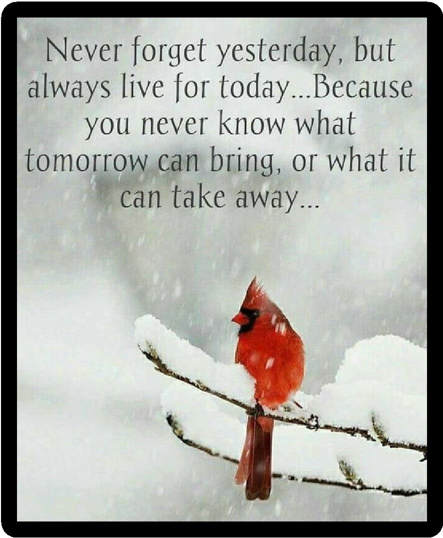 Beautiful Message Never Forget Refrigerator Magnet     