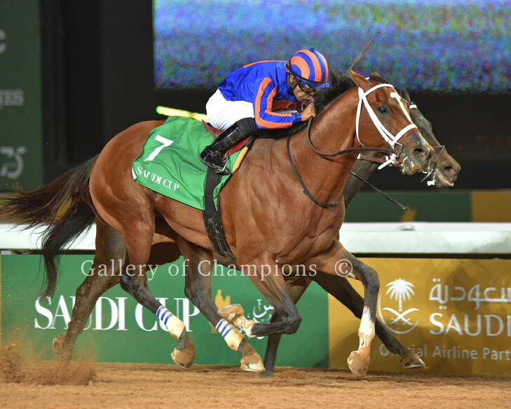 Maximum Security 2020 Saudi Cup Photo