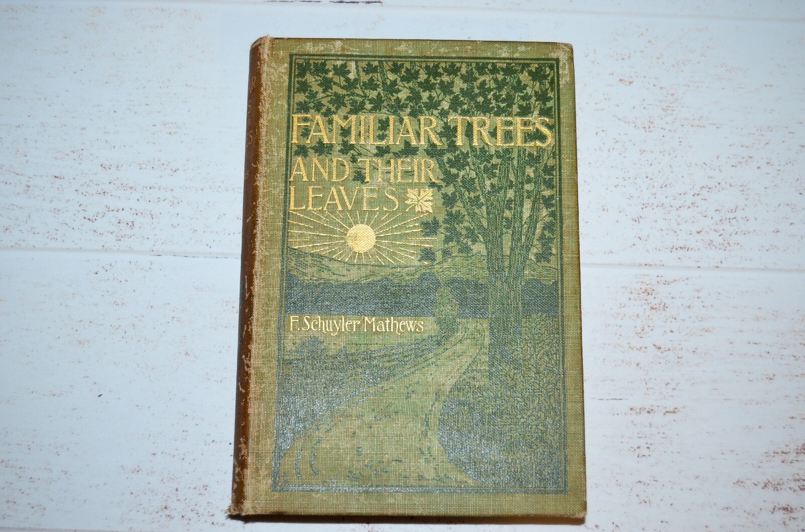 Familiar Trees and Their Leaves by F. Schuyler Mathews 1898 Familiar Trees and Their Leaves by F. Schuyler Mathews 1898