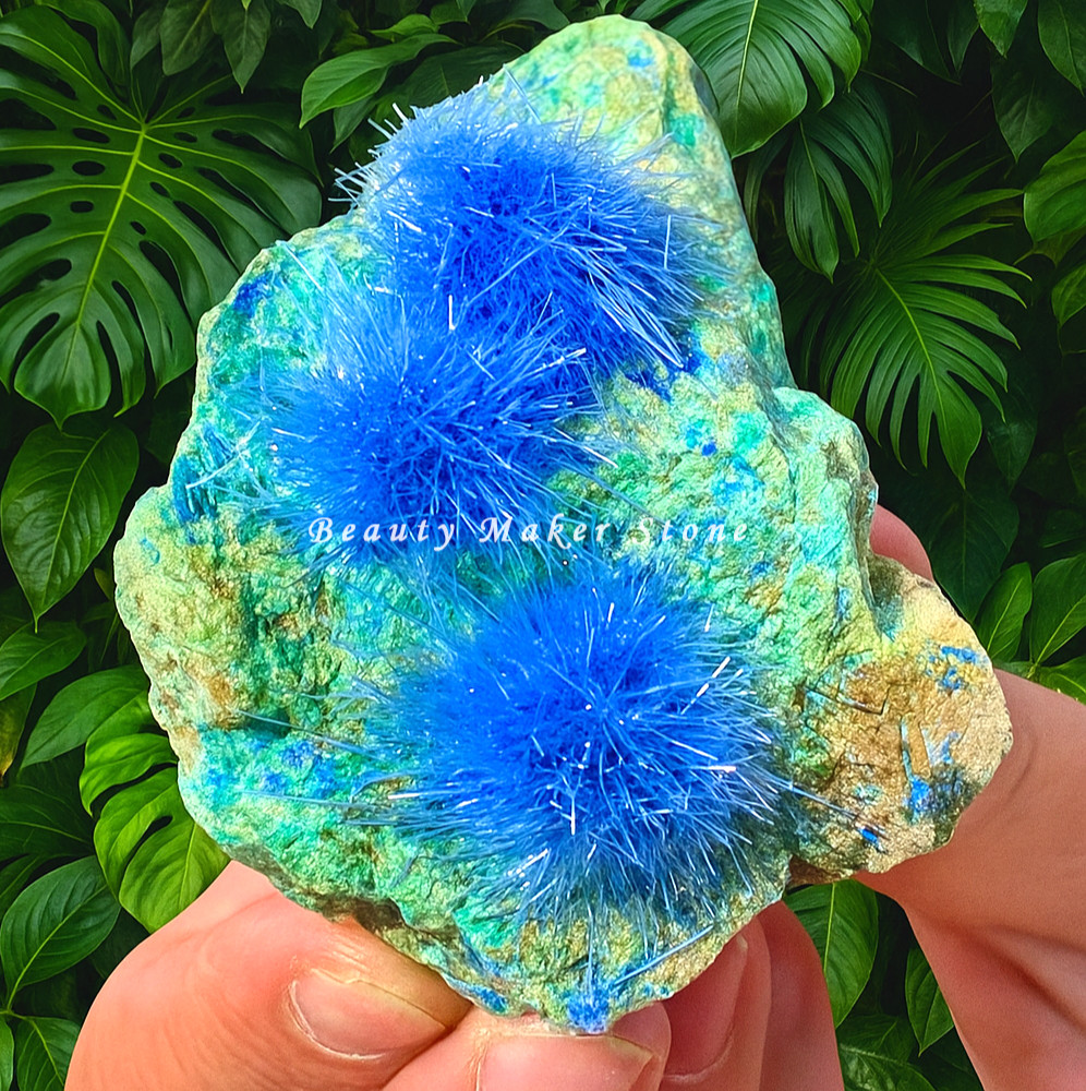 50-80G Rare Dandelion zeolite Quartz Crystal Cluster Mineral Rock Specimen Decor 50-80G Rare Dandelion zeolite Quartz Crystal Cluster Mineral Rock Specimen Decor
