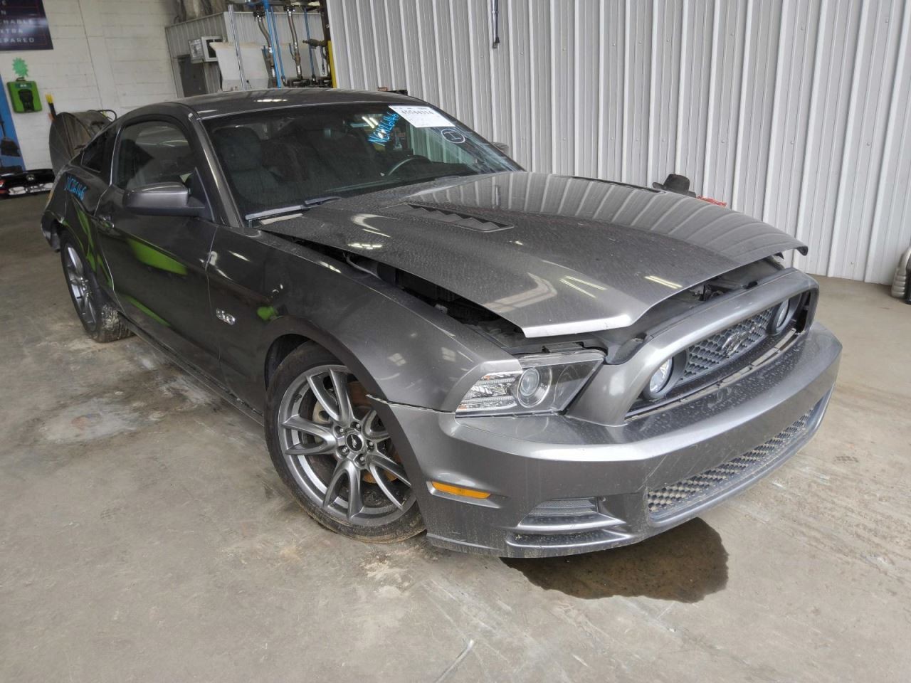 Passenger Corner/Park Light Fog-driving GT Fits 13-14 MUSTANG 821074