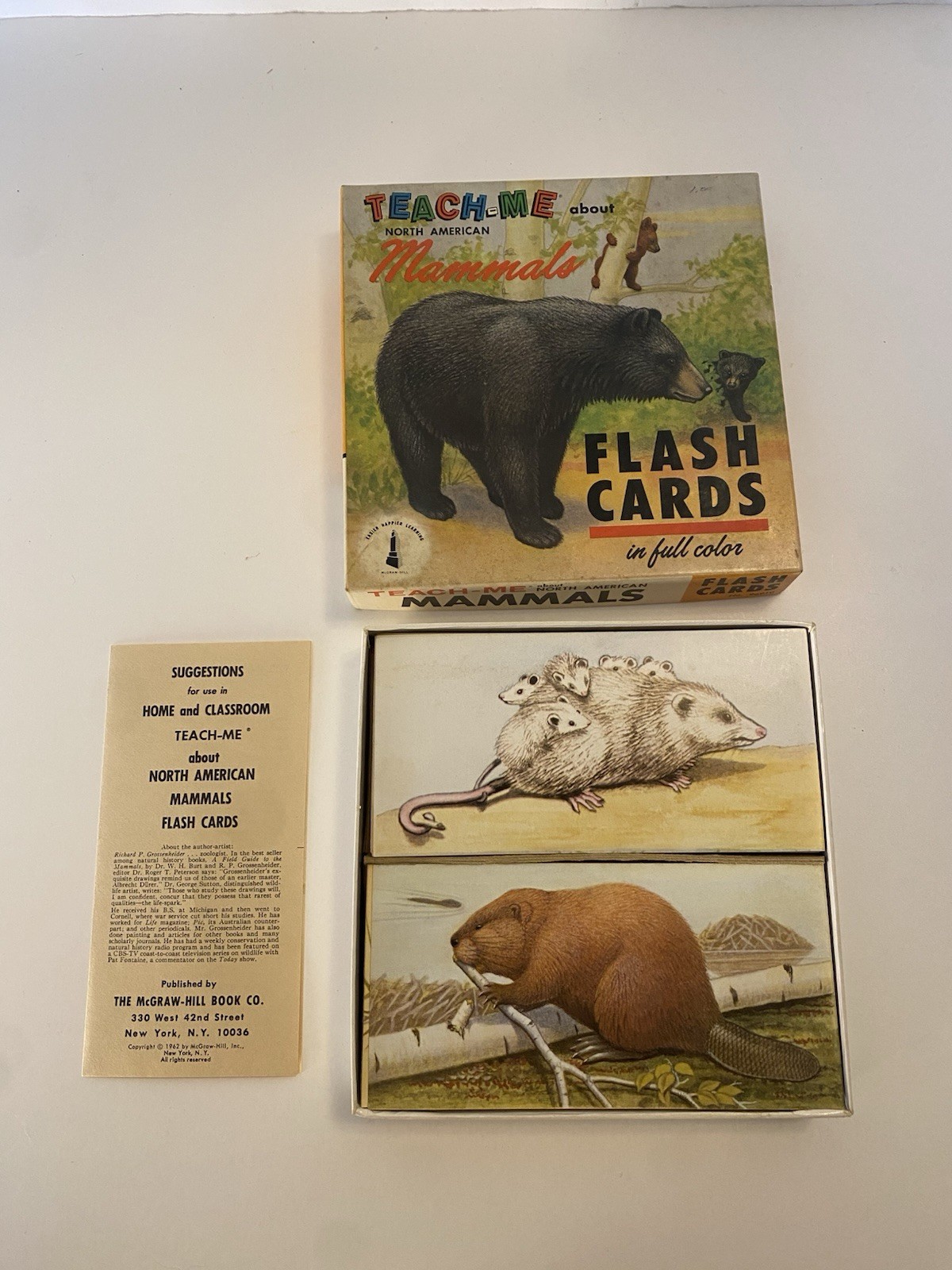 1963 Teach Me About North American Mammals Flash Cards Educational Complete Good 1963 Teach Me About North American Mammals Flash Cards Educational Complete Good