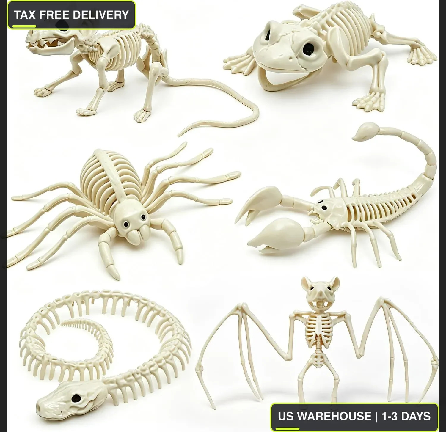 6PCS Halloween Animals Skeleton with Bendable Tails and Movable Jaws