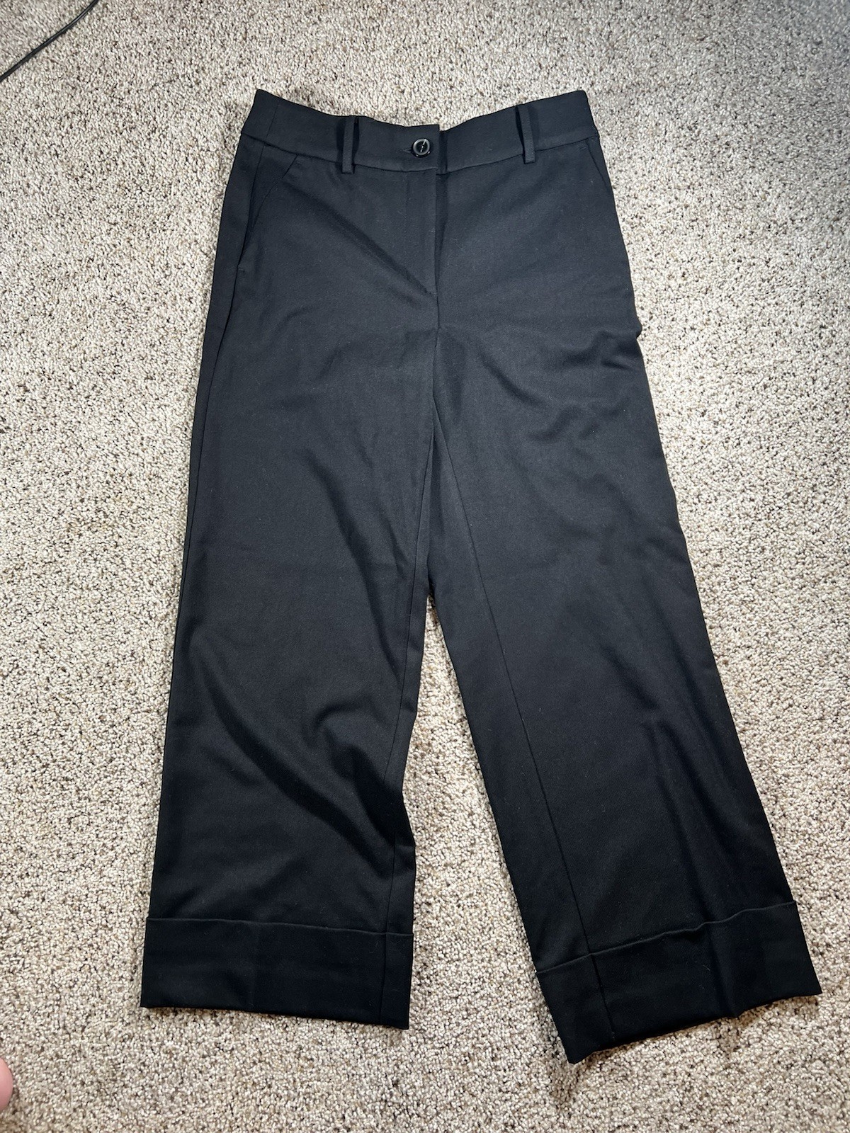 Women\'s LOFT Versa Seasonless Stretch Double Pleat Wide Leg Pants- Size 4