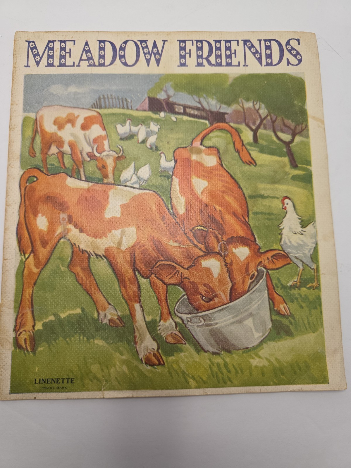  Vintage Sam\'l Gabriel Sons & Co. MEADOW FRIENDS Illustrated Childrens Book .