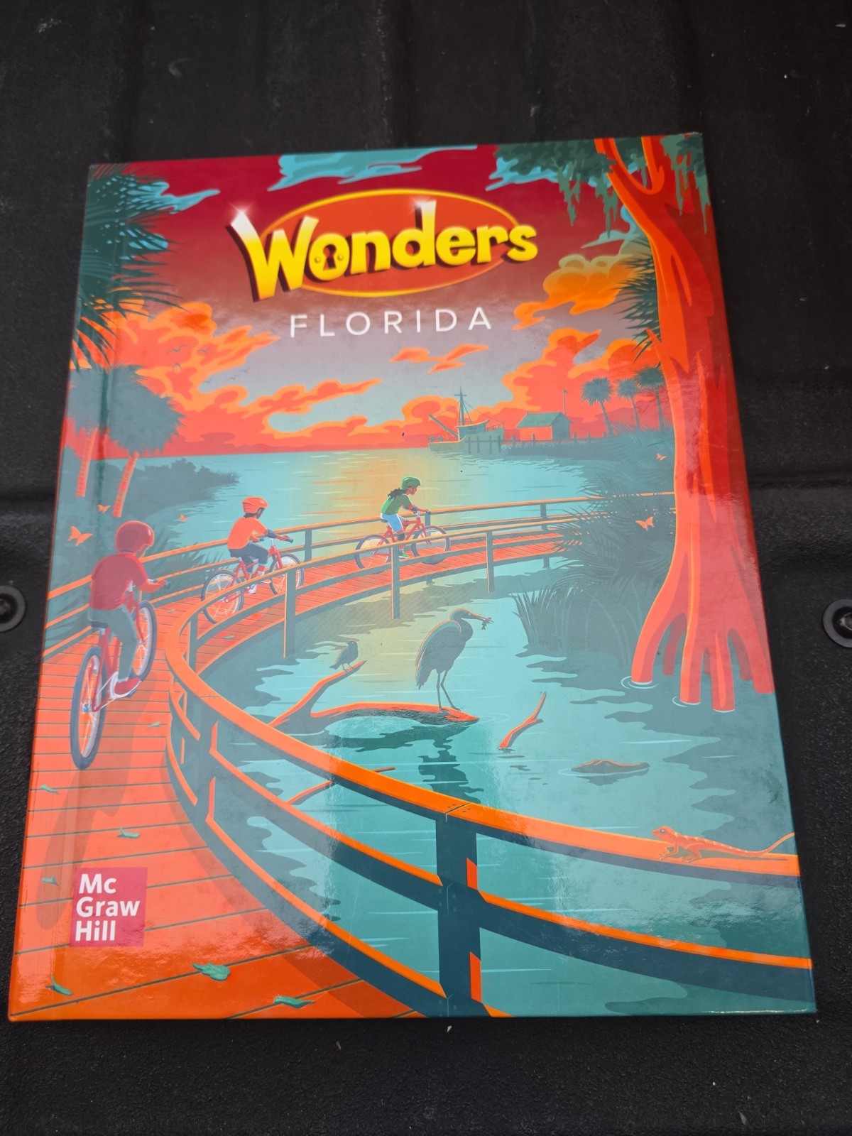 Florida Wonders Grade 3 Literature Anthology 2022