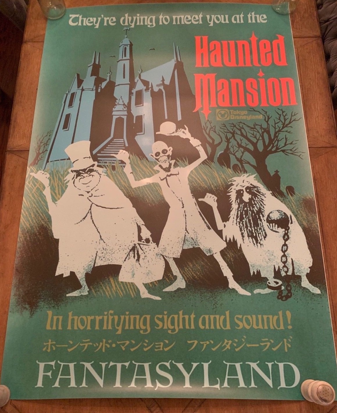 Disneyland Tokyo ATTRACTION POSTER 36x54\
