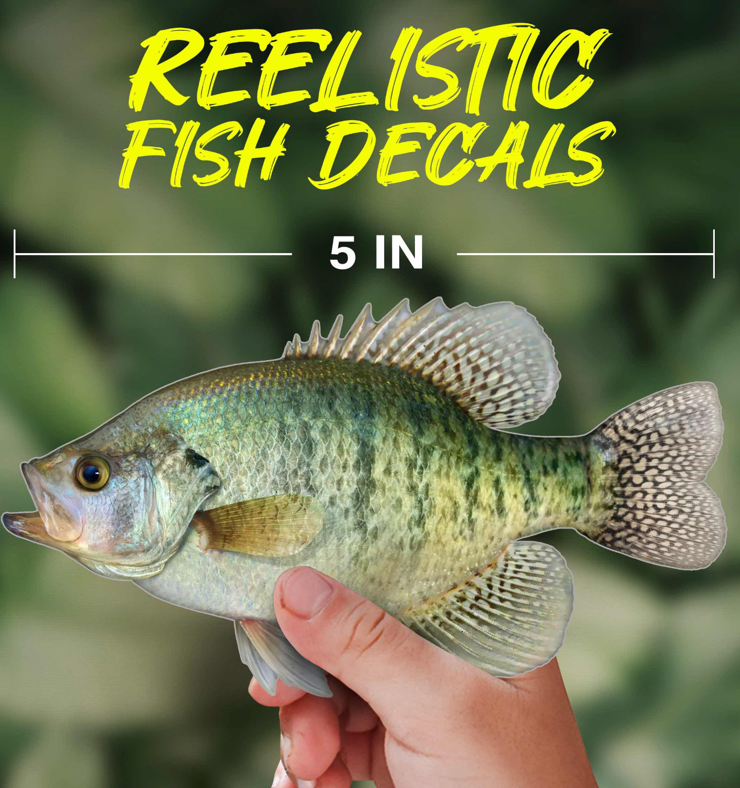 White Crappie Vinyl Decal – UV Waterproof Outdoor Sticker for Boat, Truck -more