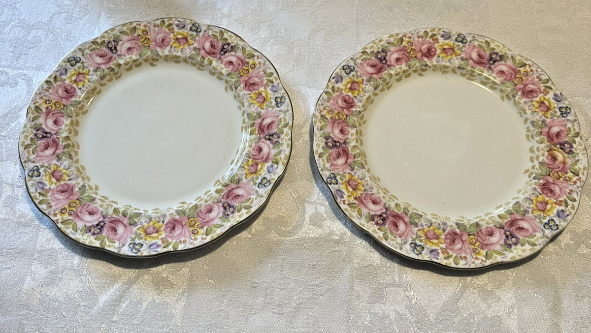 Royal Albert Serena Bone China Plates Set of 2 Pink Roses Gold Trim England Royal Albert Serena Bone China Plates Set of 2 Pink Roses Gold Trim England