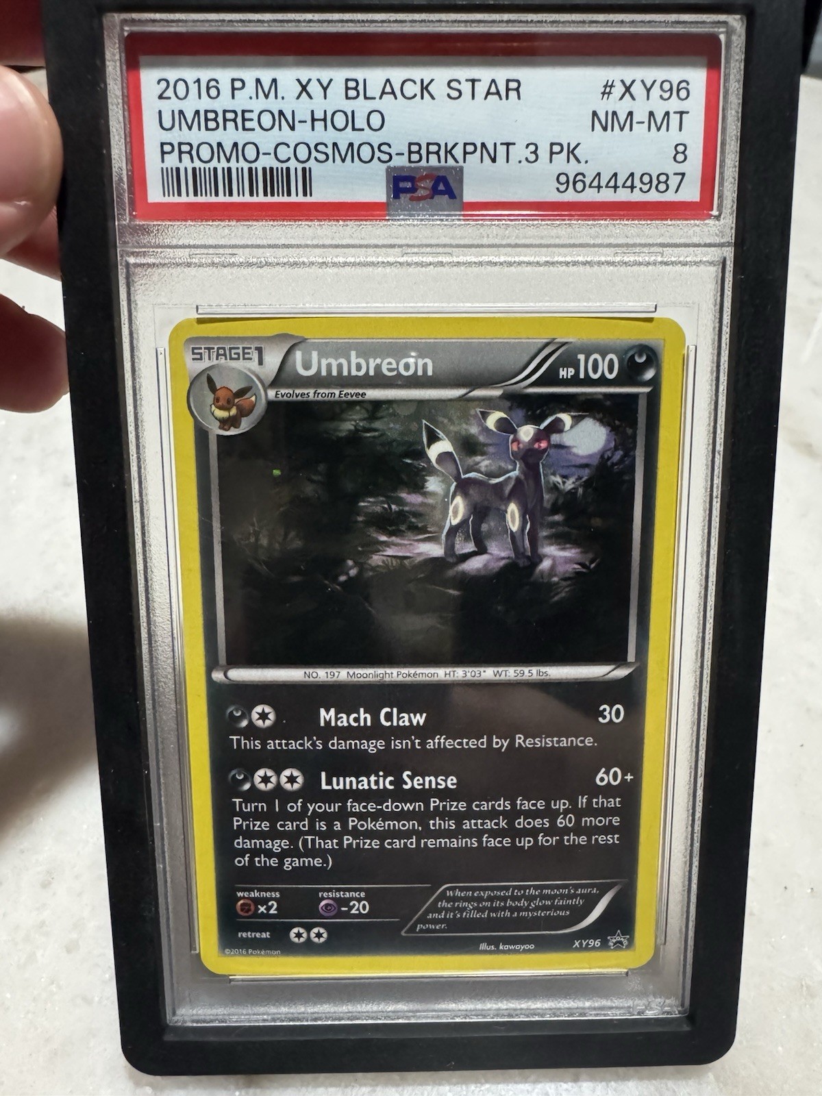 2016 POKEMON XY BLACK STAR PROMO COSMOS-BREAKPOINT 3 PACK UMBREON-HOLO PSA 8 2016 POKEMON XY BLACK STAR PROMO COSMOS-BREAKPOINT 3 PACK UMBREON-HOLO PSA 8