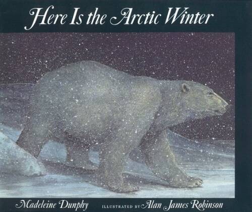Here Is the Artic Winter: Here is the Arctic Winter - Hardcover - VERY GOOD