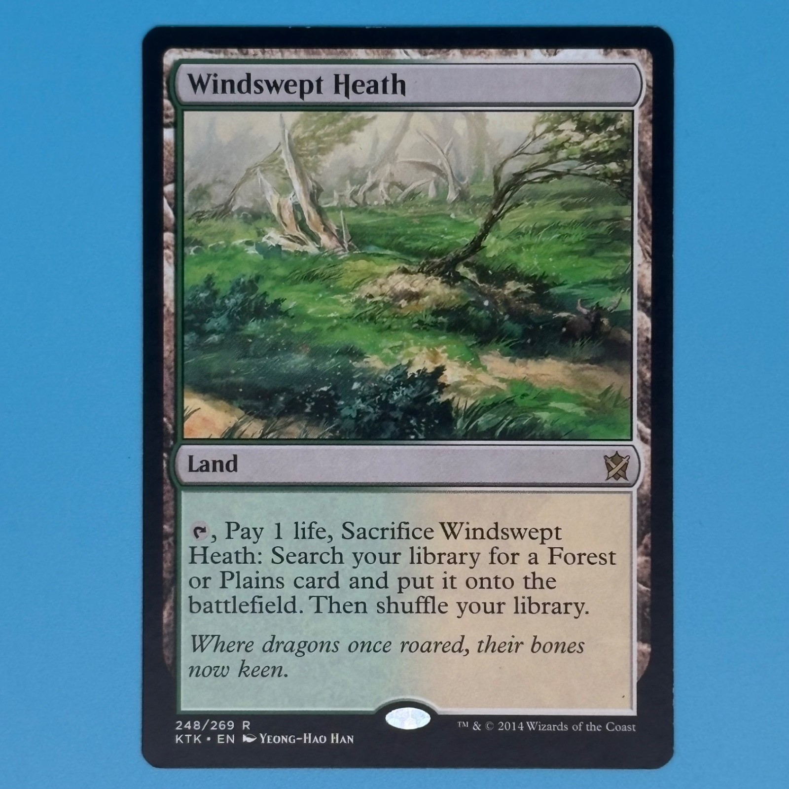 Magic: The Gathering - Windswept Heath, Normal, (KTK) #248/269, 2014, EN, NM