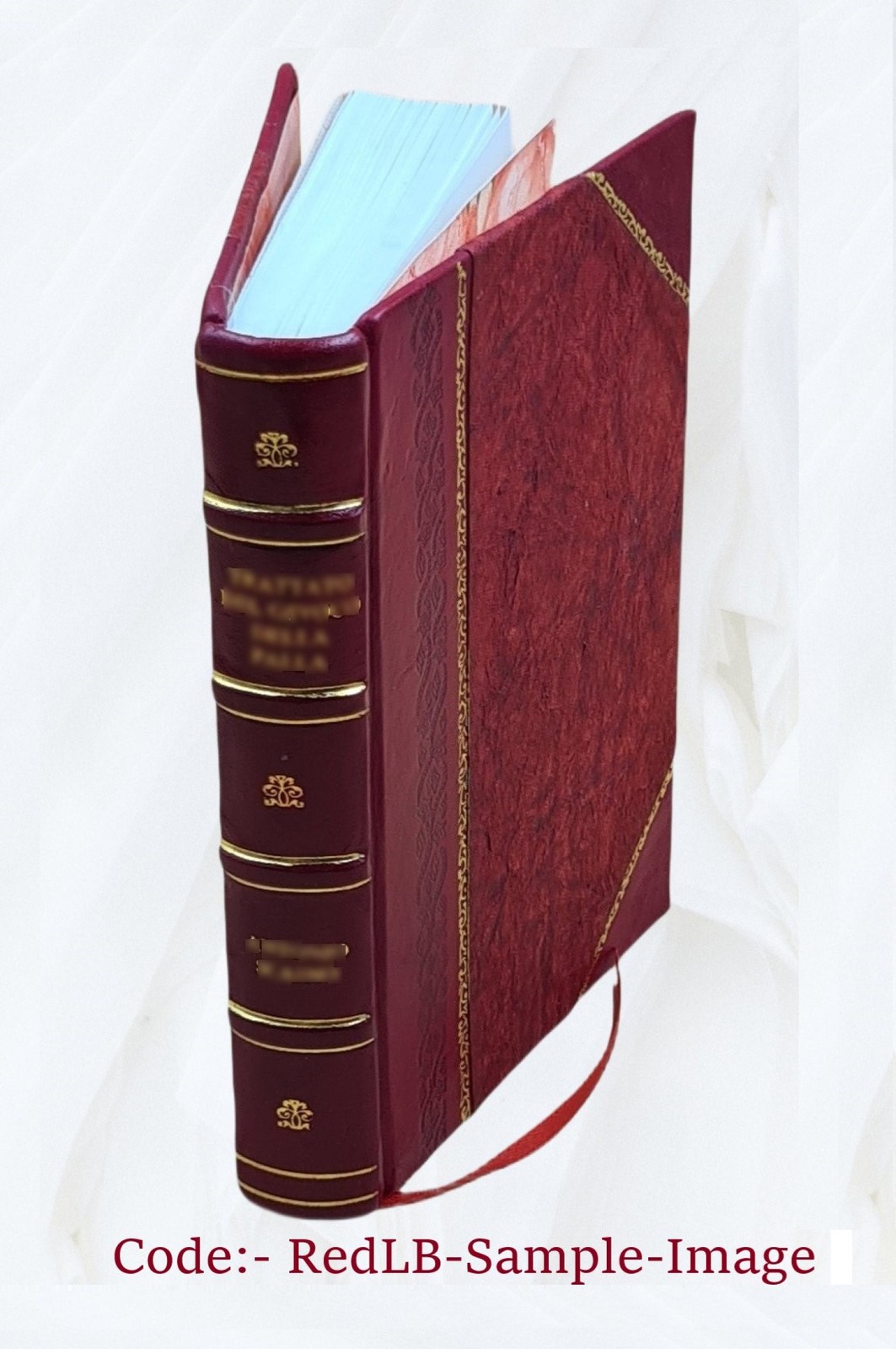 The Synagogue of Satan [Leather Bound]