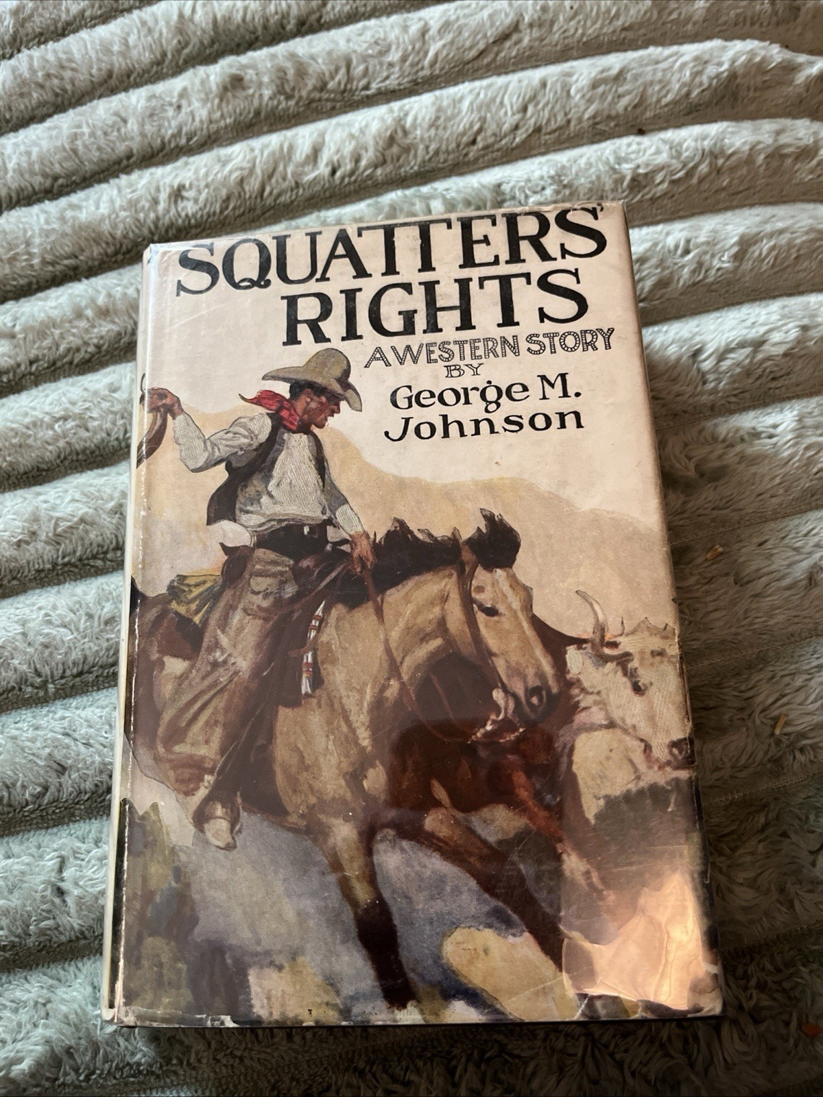 Squatters Rights by George M. Johnson 1929 1st edition Dust Jacket Hardcover
