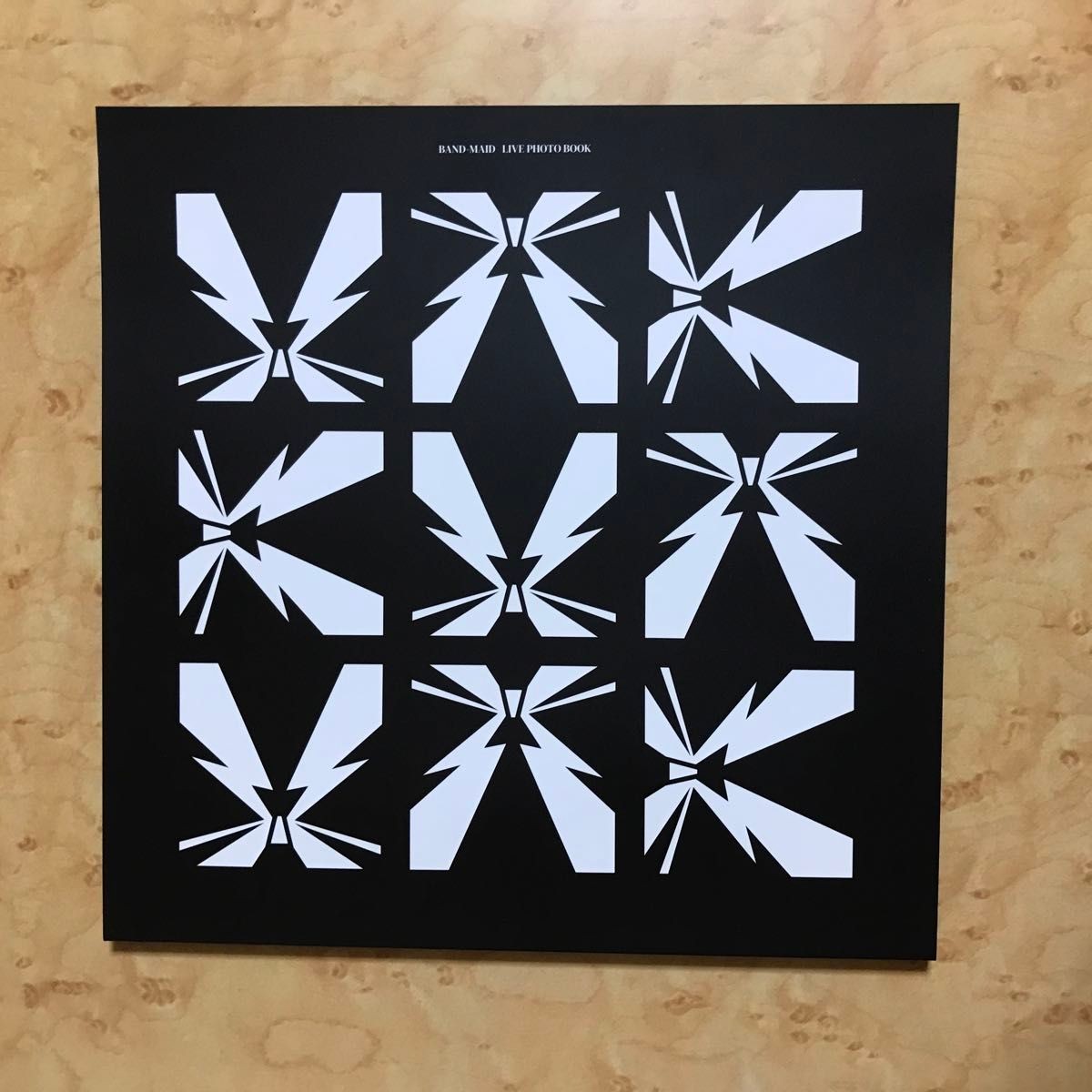 BAND-MAID Epic Narratives Live Photobook 100P Limited Edition Book Japan
