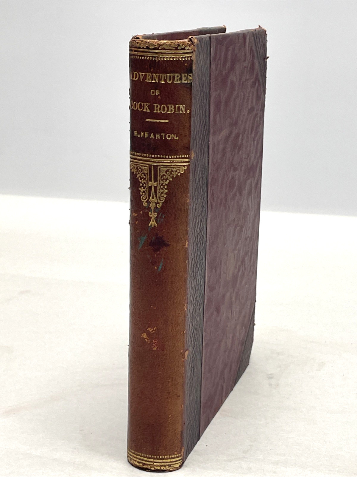 1904 Adventures of Cock Robin R Kearton Antique Bird Book 120+ Photos Leather