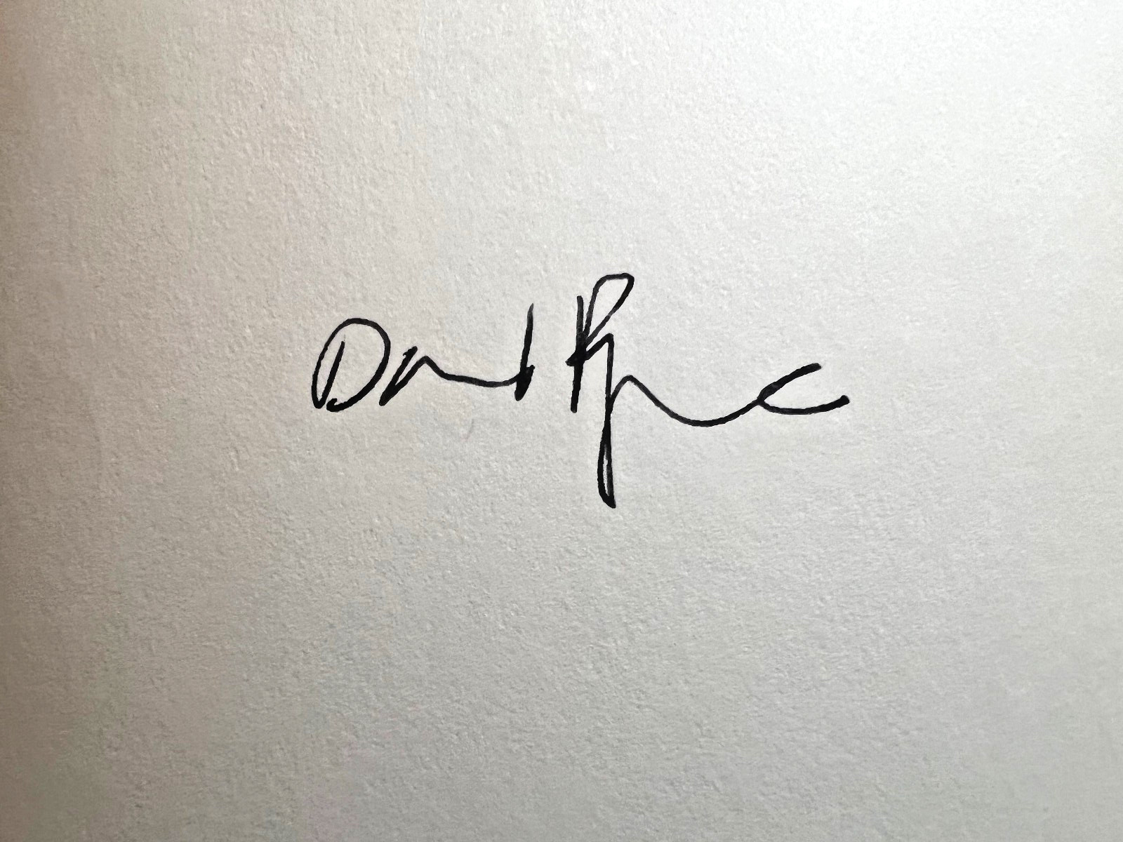 Talking Heads David Byrne - Signed Book Sleeping Beauties
