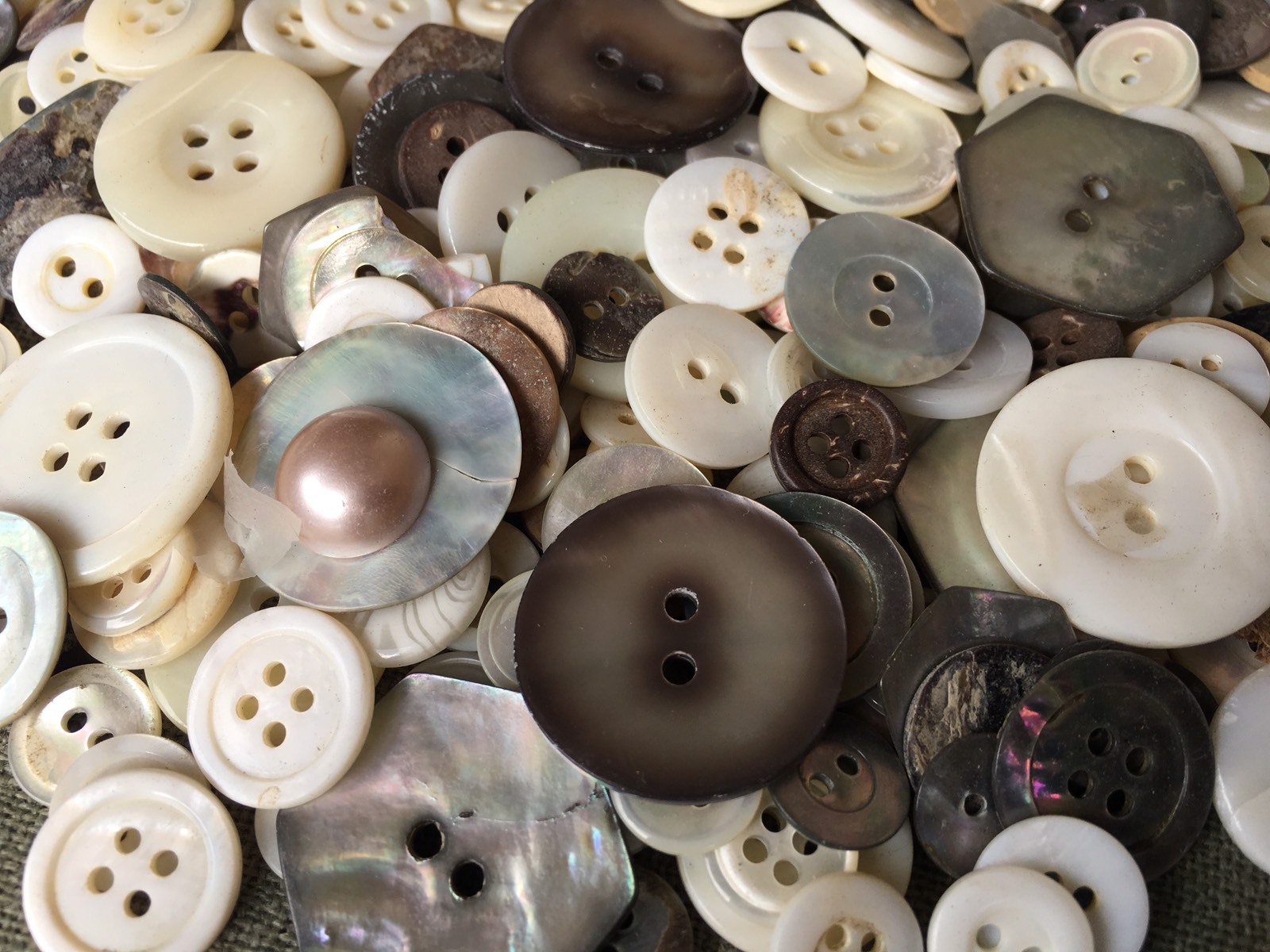 250 pc MIXED LOT of BEAUTIFUL REAL SHELL BUTTONS All Sizes & Colors