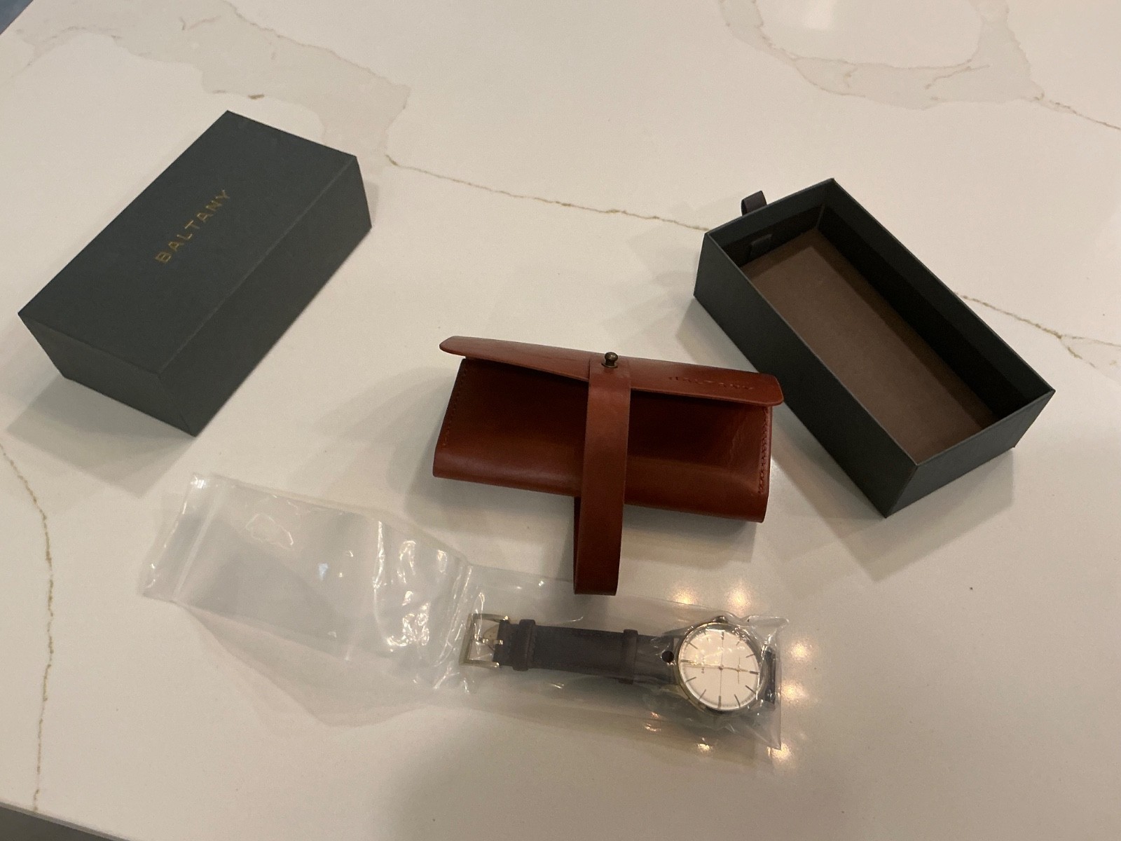 Baltany Men Automatic Watch 38.5mm Retro Crosshair Dial S4092