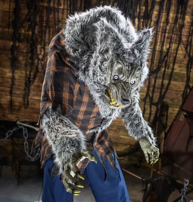 7 FT ANIMATED HULKING WEREWOLF HALLOWEEN ANIMATRONIC PROP 7 FT ANIMATED HULKING WEREWOLF HALLOWEEN ANIMATRONIC PROP