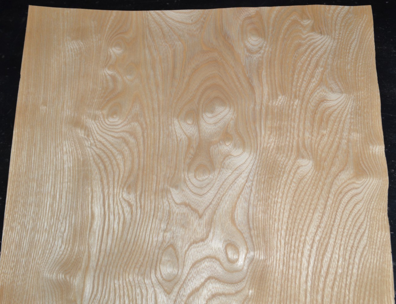 Japanese Sen Raw Wood Veneer Sheet 16.5 x 44 inches 1/42nd 35136-46 Japanese Sen Raw Wood Veneer Sheet 16.5 x 44 inches 1/42nd 35136-46