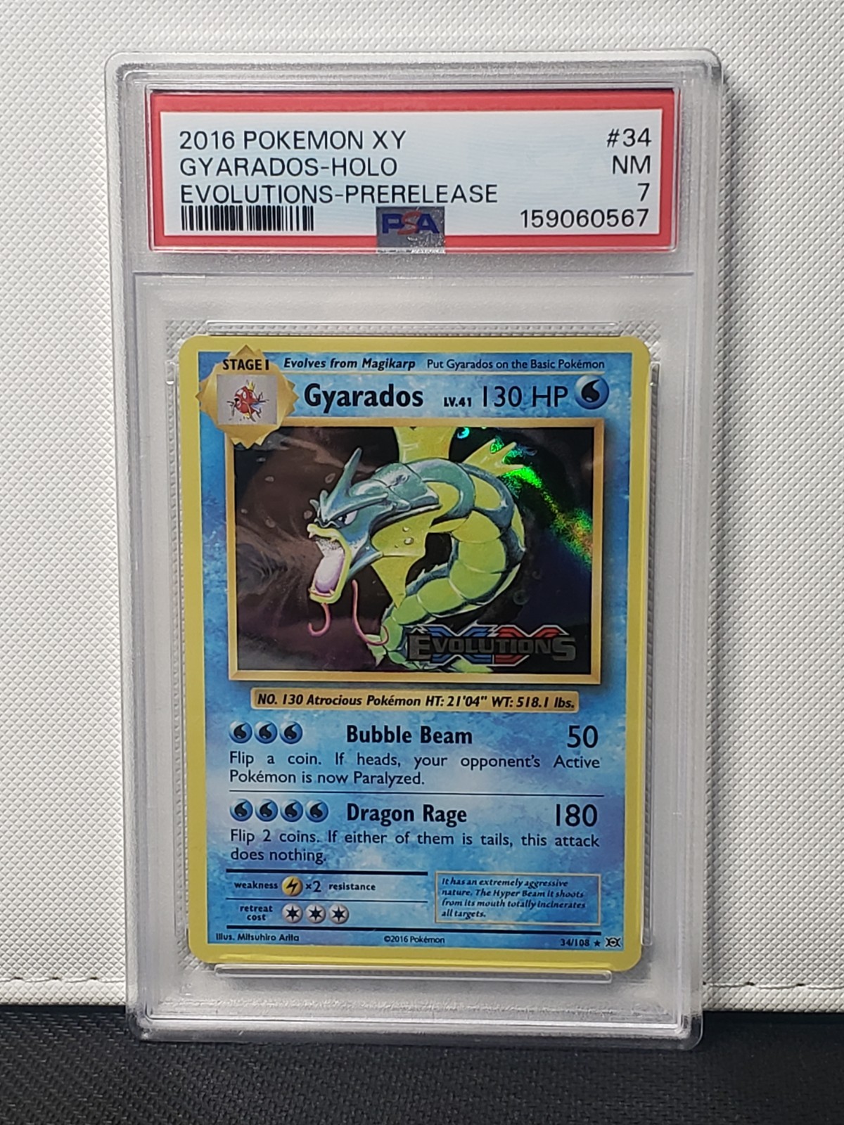 2016 Pokemon XY Evolutions 34 Gyarados Holo Prerelease PSA 7 2016 Pokemon XY Evolutions 34 Gyarados Holo Prerelease PSA 7