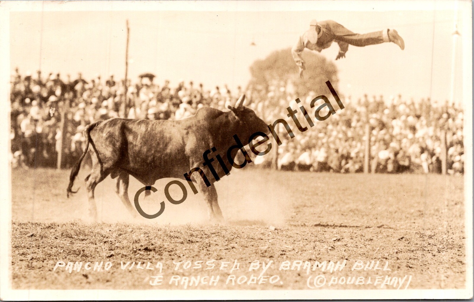 Real Photo Cowboy Pancho Villa Tossed Brahma Bull JE Ranch Doubleday Photo H505