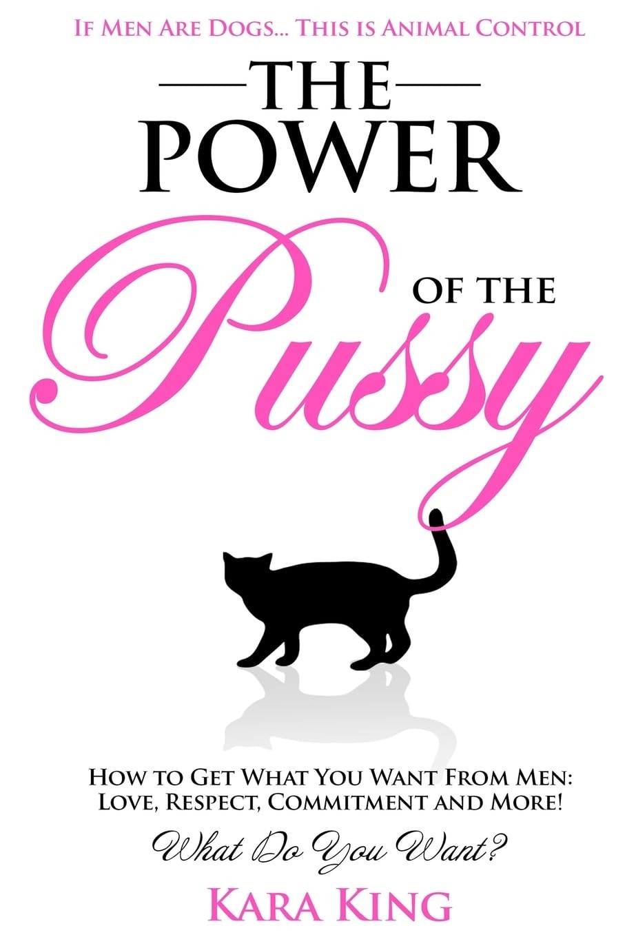 The Power of the Pussy: Get What You Want From Men: Love, Respect, Commitmen...
