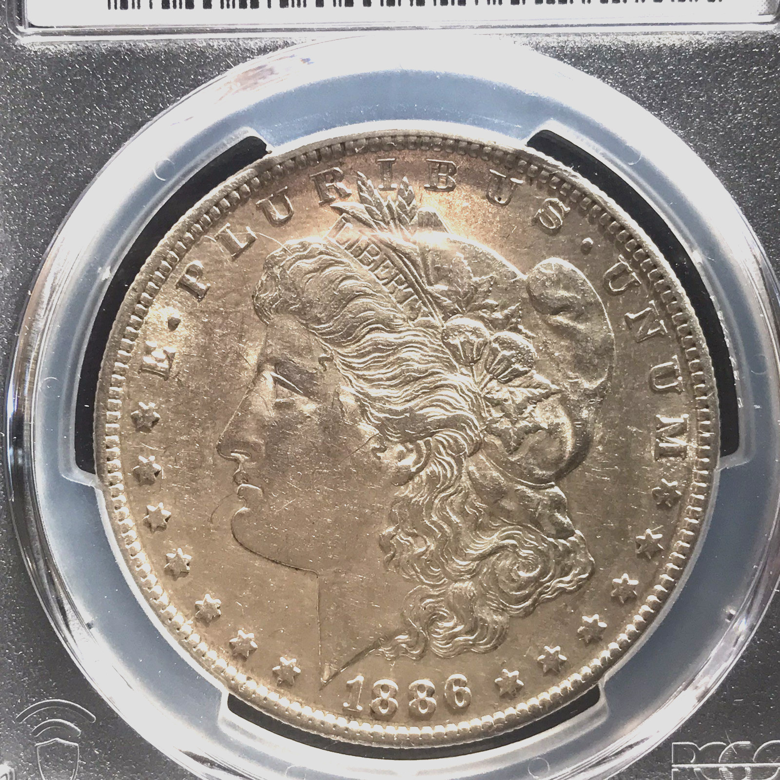 1886 s Morgan Silver Dollar PCGS Genuine Sratched  AU Detail-West of the Divide