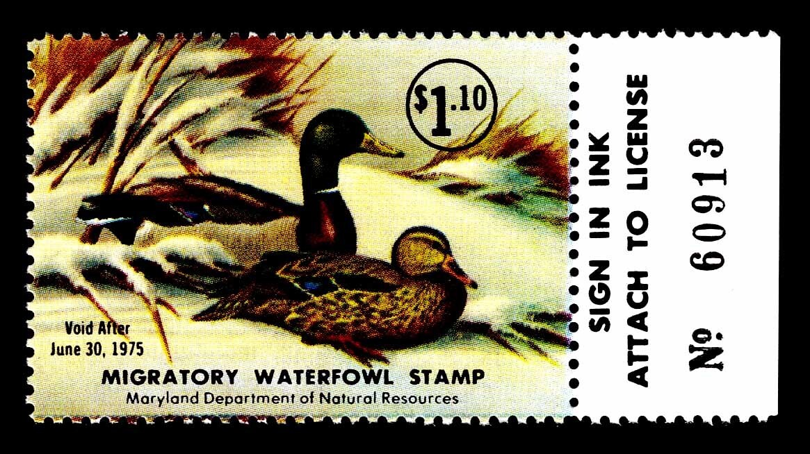 1975 MARYLAND DUCK STAMP - MD-1 - MOGNH - VF/XF - (ESP STOCK)