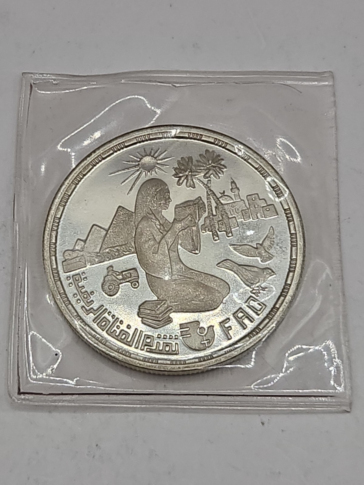 Egypt 1980 AH1400 1 Pound Silver FAO World Progress Of Rural Women Coin KM513