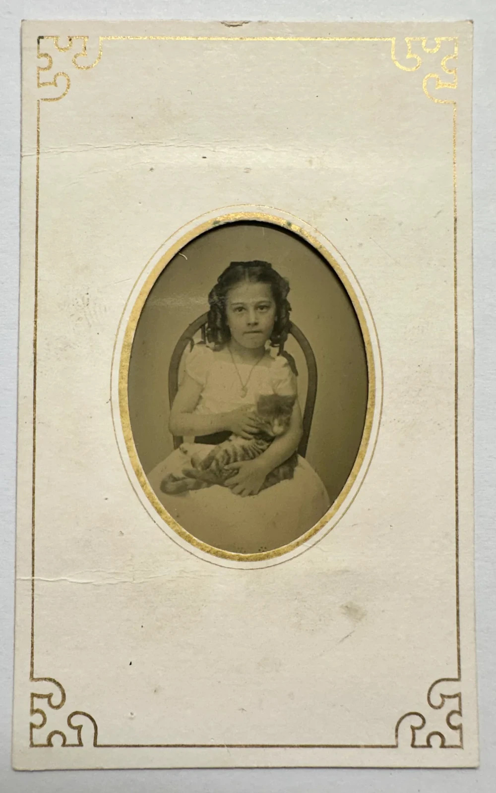 Little Girl Holding Striped Kitten / Cat Great 1870s Tintype Photo Little Girl Holding Striped Kitten / Cat Great 1870s Tintype Photo