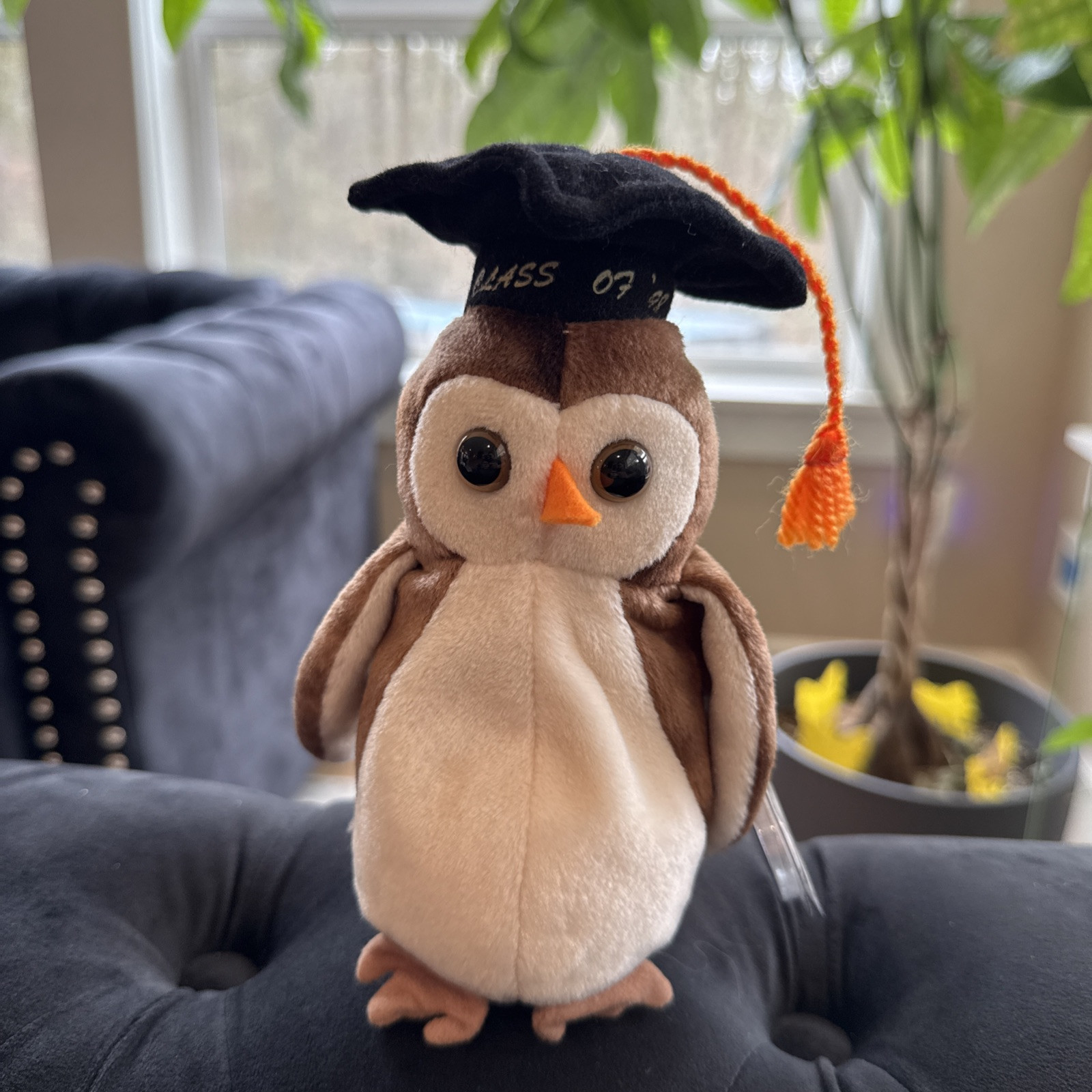 TY Beanie Baby Wise the Owl Class of \ TY Beanie Baby Wise the Owl Class of \
