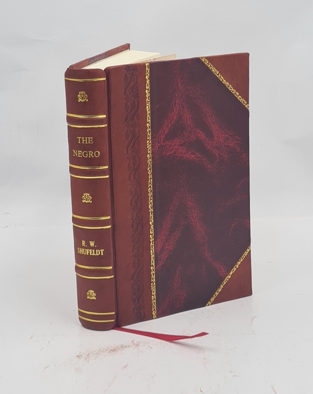 The Negro A Menace To American Civilization 1907 By R. W. Shufeldt Leather Bound