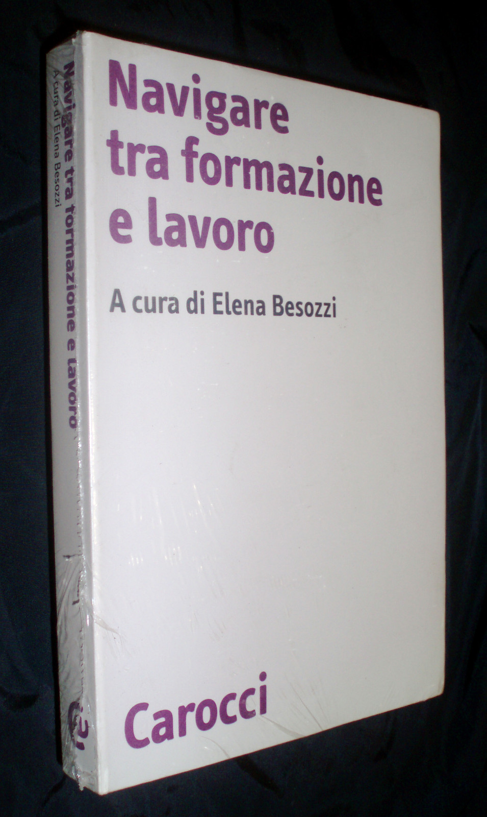 Navigare tra formazione e lavoro / a cura di Elena Besozzi Navigare tra formazione e lavoro / a cura di Elena Besozzi