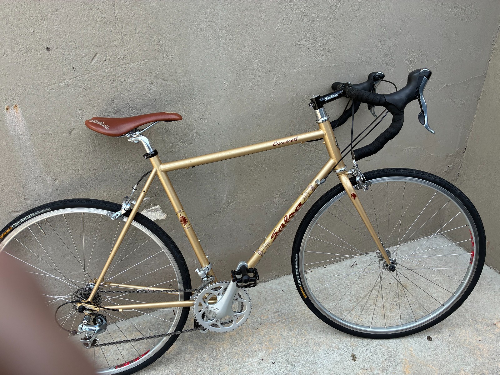 Salsa Casserole touring-adventure 2010 FRAMESET with extras