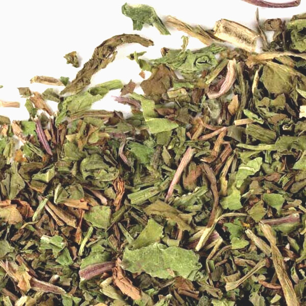 Dandelion Leaf Cut Wildcrafted Leaves ~ Freshly Packed USA Free Ship
