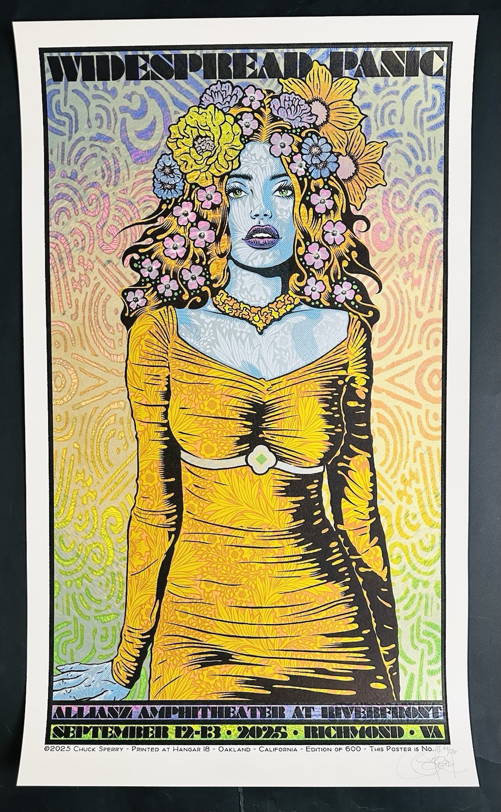 CHUCK SPERRY WIDESPREAD PANIC Richmond S/N Artist Edition #44/250 Poster MINT