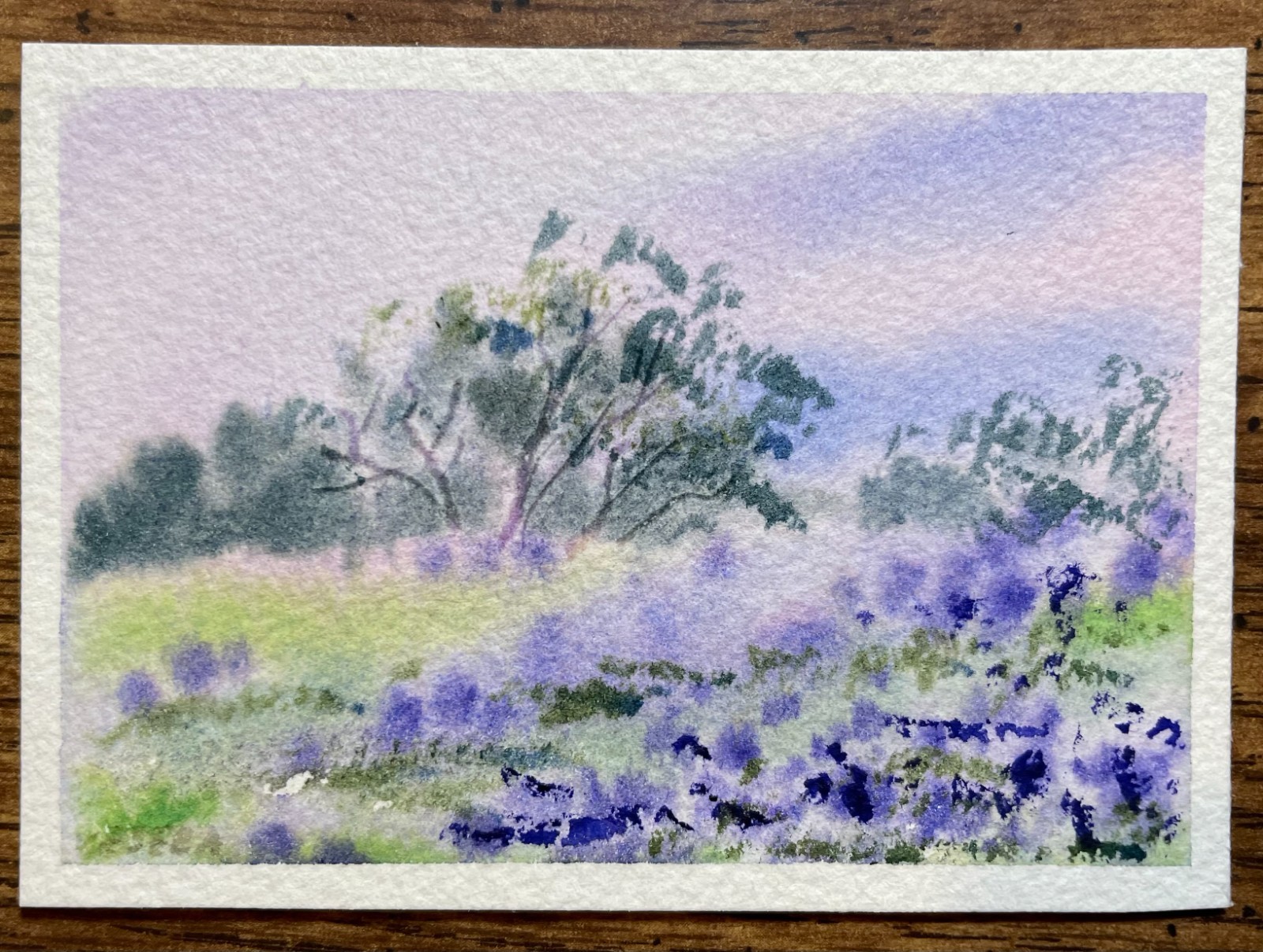 ACEO Original Watercolor Painting Landscape Nature Flowers Summer - 2.5x3.5 in ACEO Original Watercolor Painting Landscape Nature Flowers Summer - 2.5x3.5 in