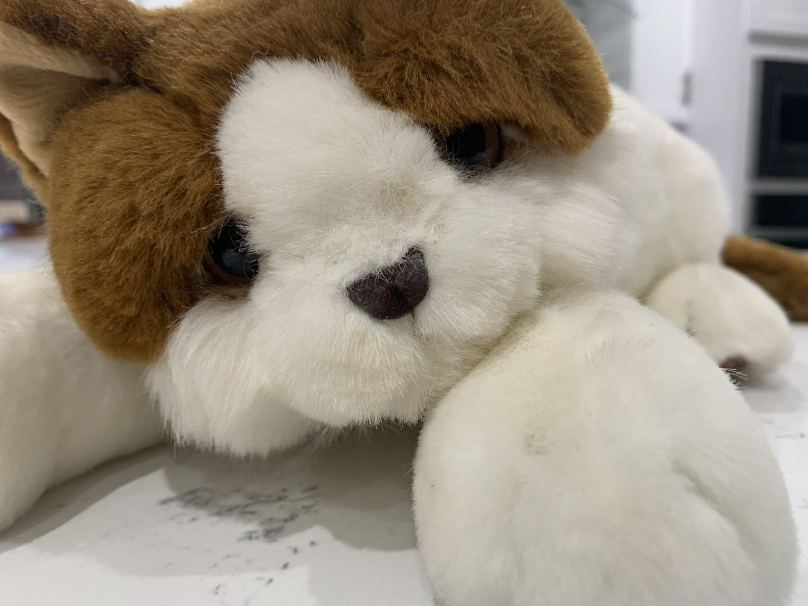 Vintage Dakin Lou Rankin Friends SASHA CAT Plush Stuffed Longhair Kitty 15\