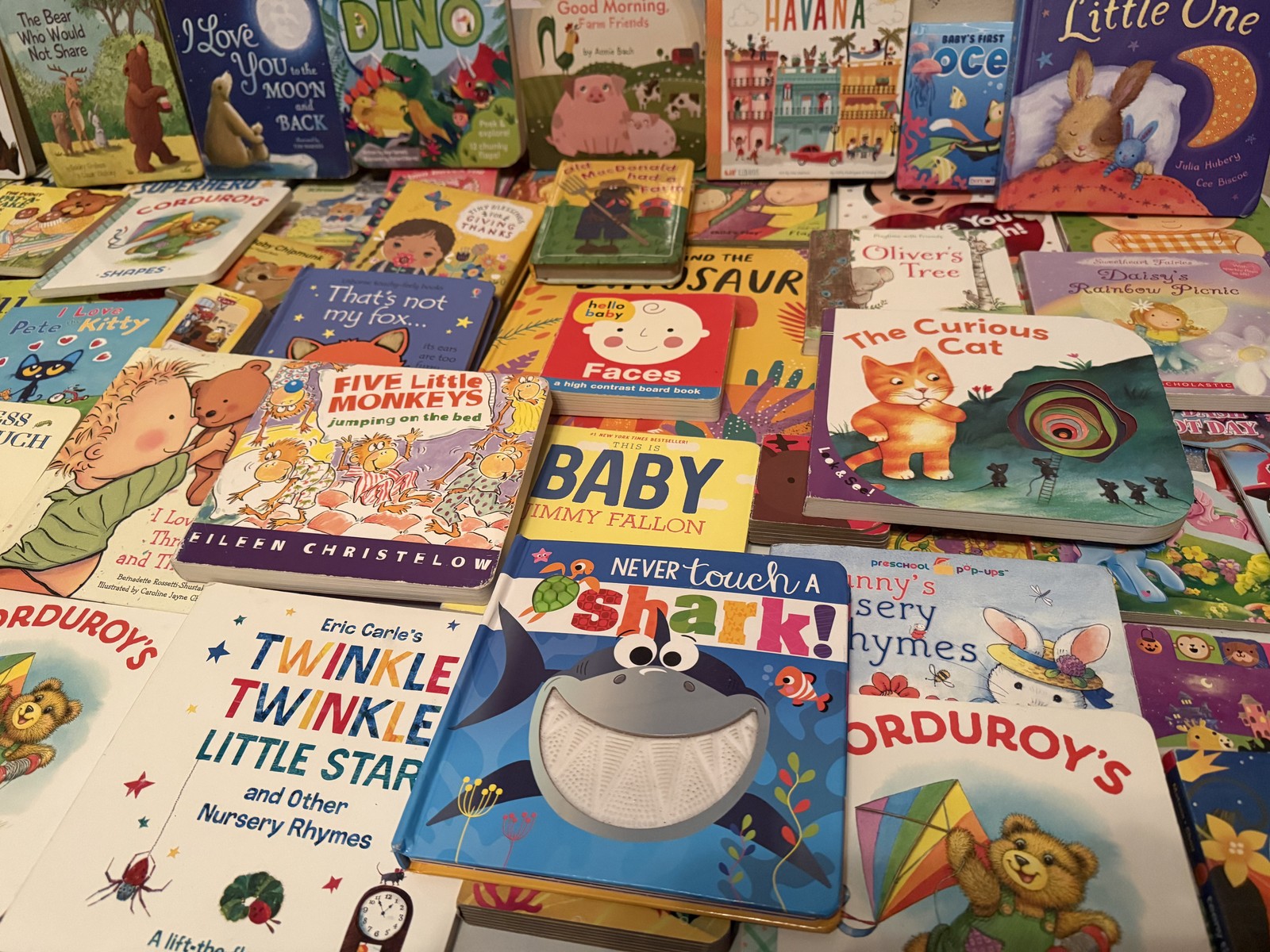 Toddler Board Book Bundle of 20 Baby First Books Nursery Story Time 