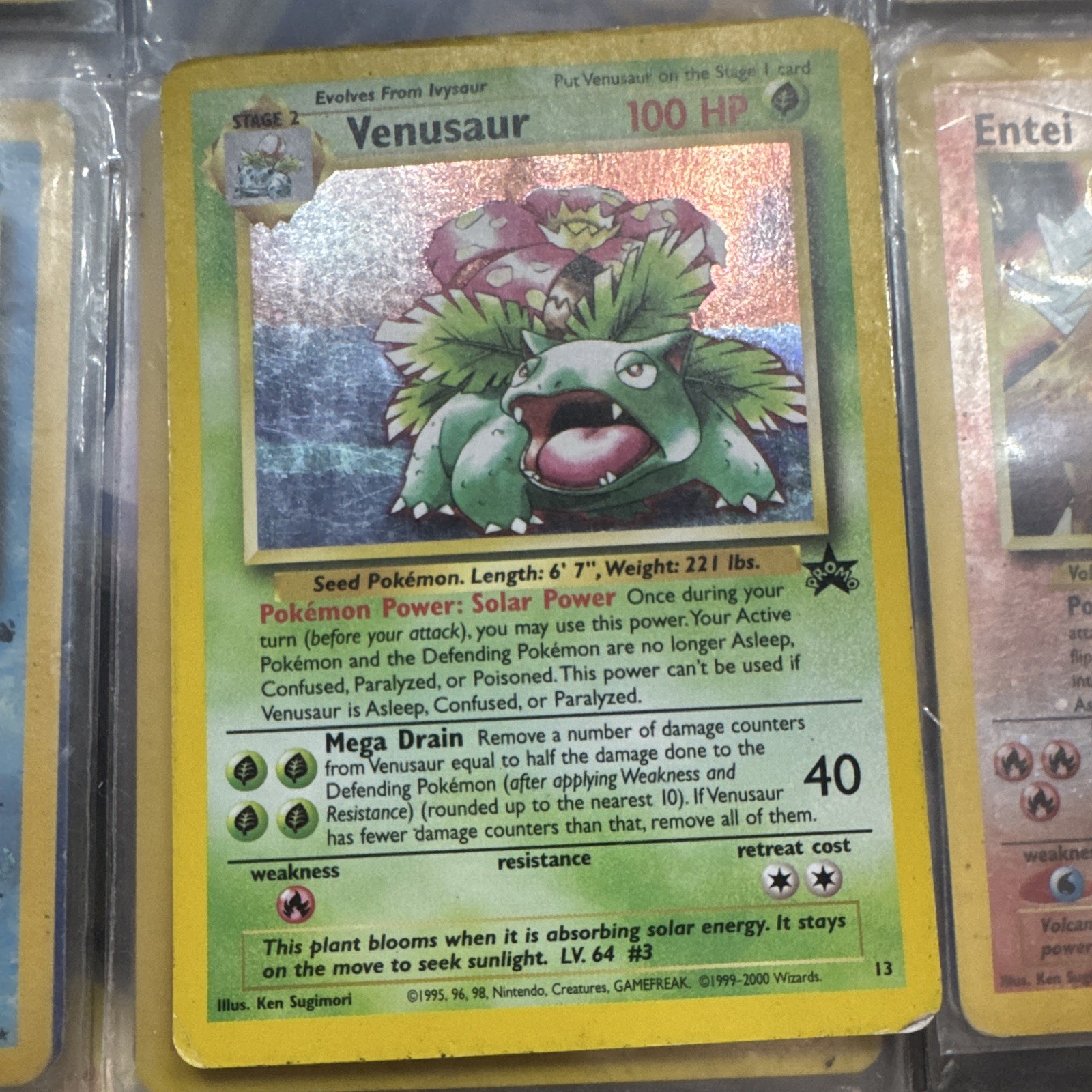 Venusaur 13/53 Wotc Promo Holo Pokémon TCG Card 100 HP English Stage 2 Venusaur 13/53 Wotc Promo Holo Pokémon TCG Card 100 HP English Stage 2