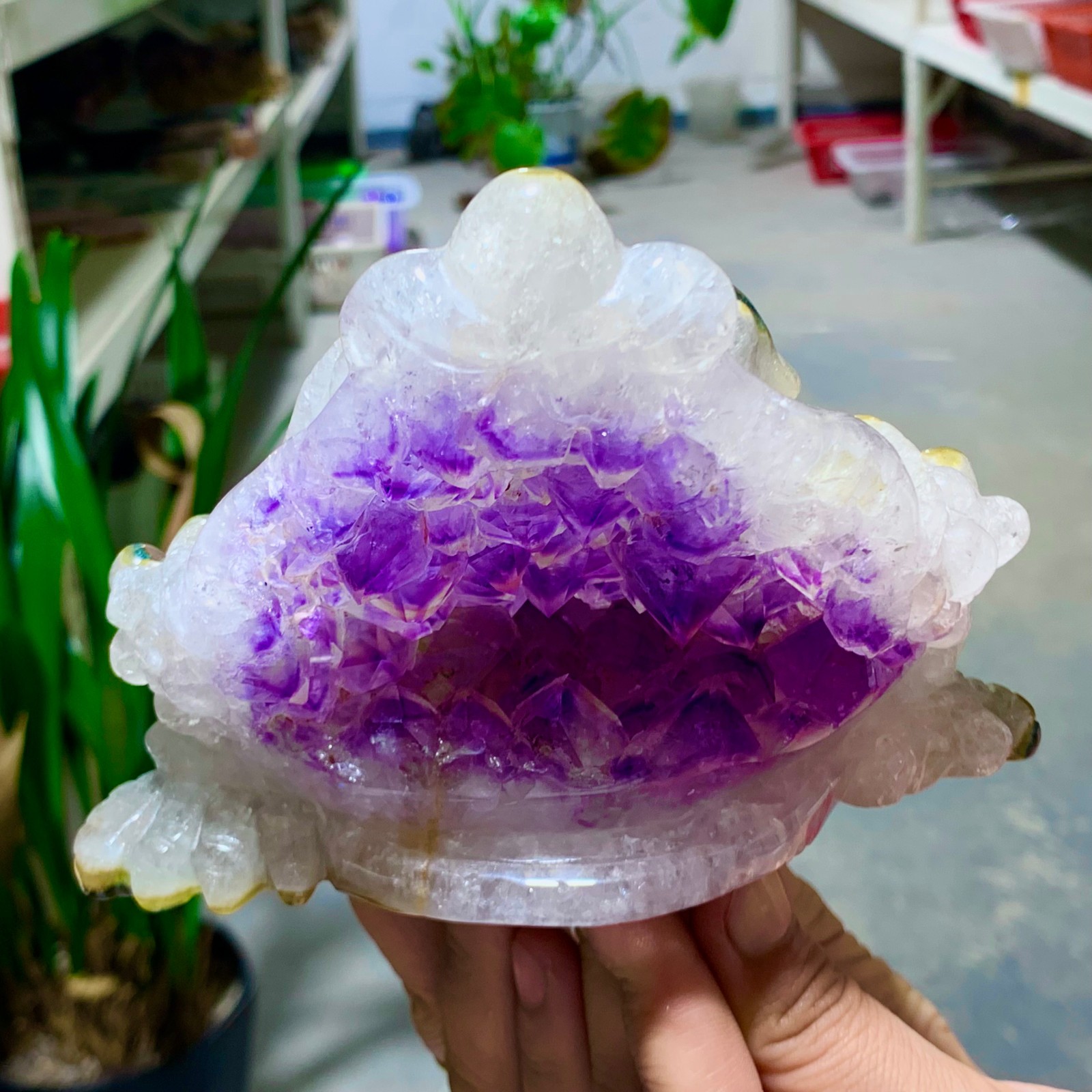 2.3LB Natural and Beautiful Agate Amethyst Handmade Golden Toad Crystal Care