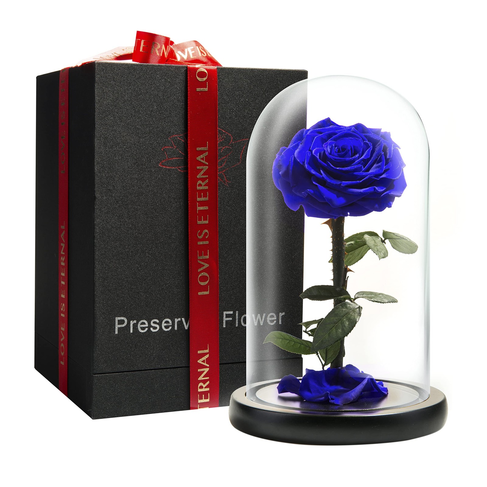 LOVAPPY Preserved Rose - Glass Dome - Beauty The Beast (Blue, 9 Inch) LOVAPPY Preserved Rose - Glass Dome - Beauty The Beast (Blue, 9 Inch)