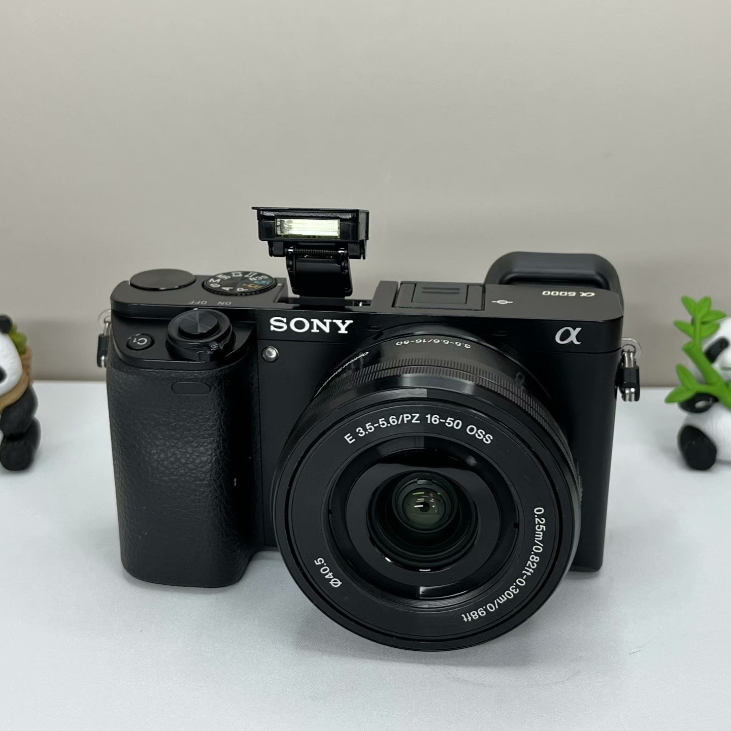 Sony Alpha a6000 24.3MP Mirrorless Digital Camera w/16-50mm OSS Lens English