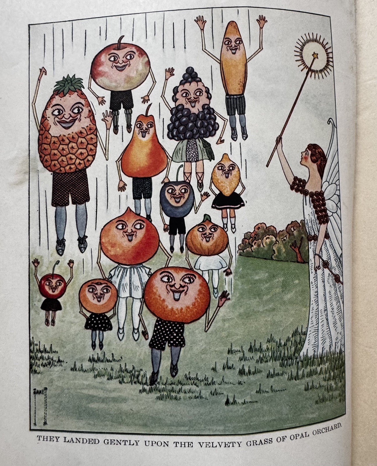 Rare 1924 Folksy Fruits T. Benjamin Faucett Antique Illustrated Children’s Book